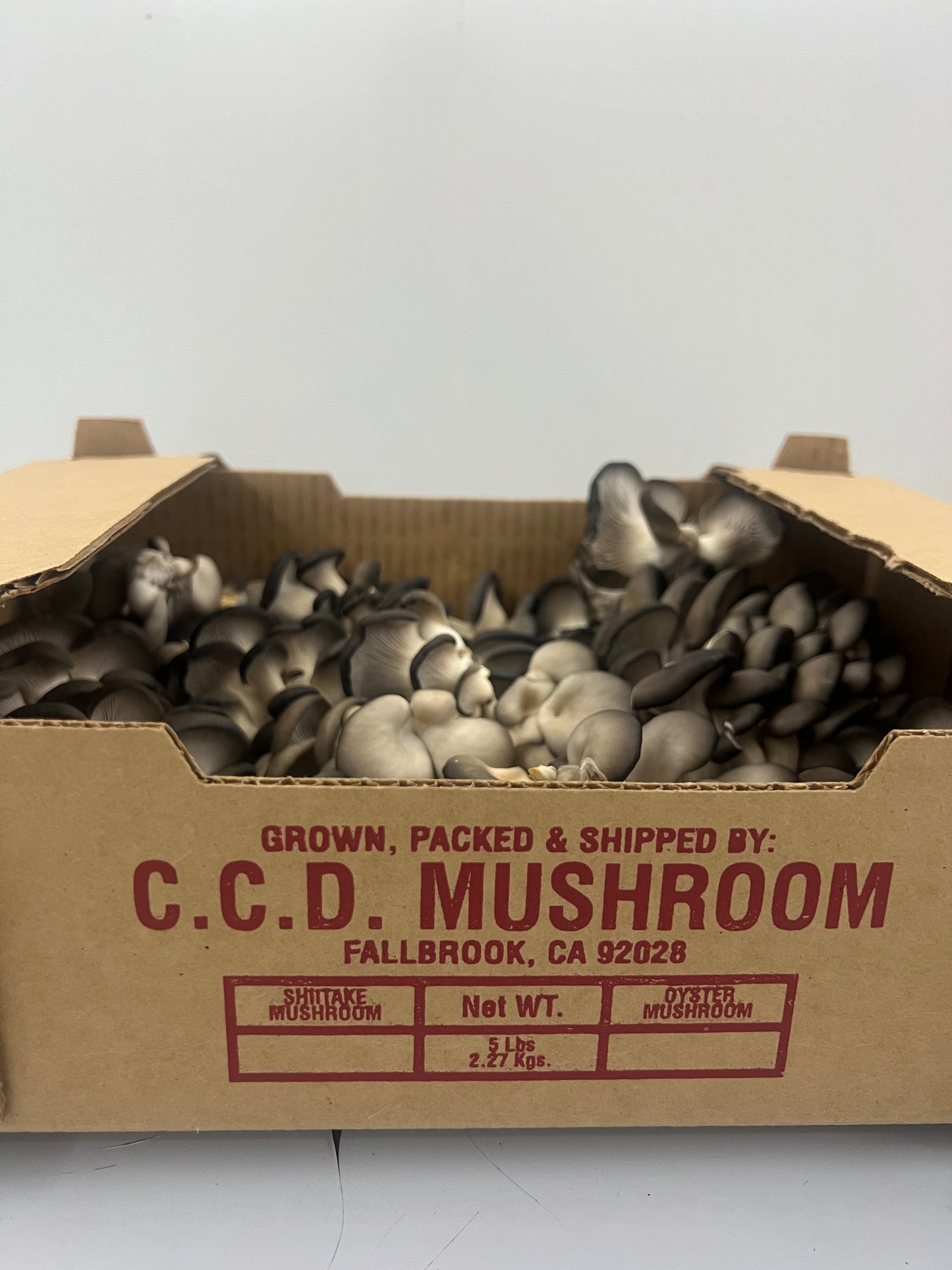 5 Lb Oyster Mushroom Box