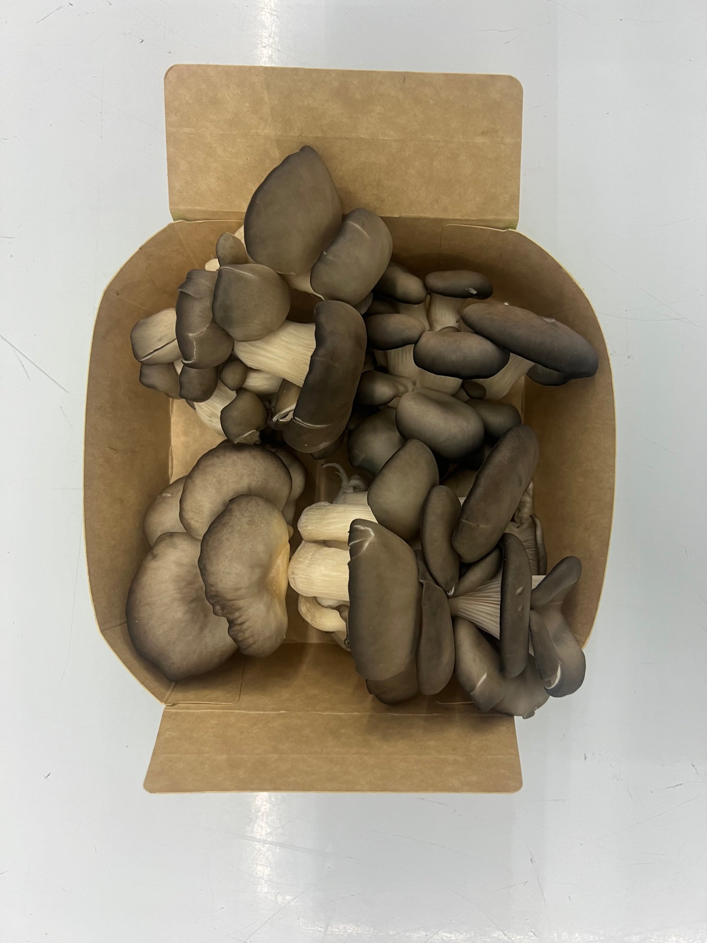 1/2 Lb Oyster Mushroom box